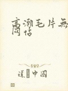 高潮毛片无遮挡网站