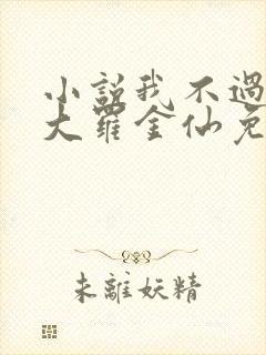 小说我不过是个大罗金仙免费阅读
