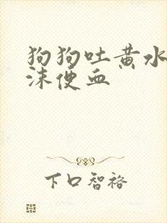 狗狗吐黄水带泡沫便血