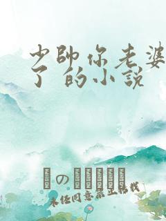 少帅你老婆又跑了 的小说