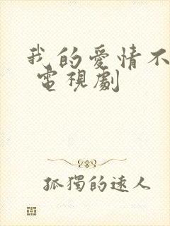 我的爱情不平凡 电视剧