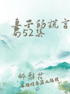 妻子的谎言大结局52集