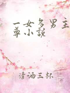 一女多男主的女尊小说