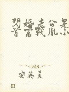 闪婚老公是千亿首富战胤小说最新