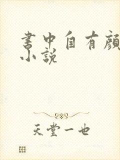 书中自有颜如聿小说