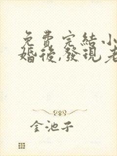 免费完结小说闪婚后,发现老公是总裁上司