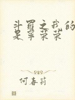 斗罗之我的老婆是宁荣荣