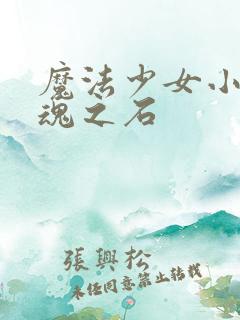 魔法少女小圆灵魂之石