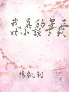 我真的是正派txt小说下载