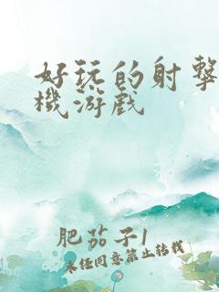 好玩的射击类单机游戏