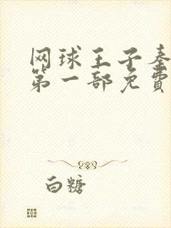 网球王子秦俊杰第一部免费