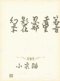 幻影忍者第16季在哪里看?