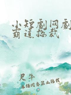 小短剧网剧大全霸道总裁