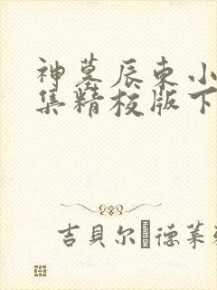 神墓辰东小说全集精校版下载