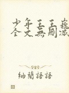 少年王王巍小说全文无删减