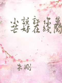 小说许你万丈光芒好在线阅读