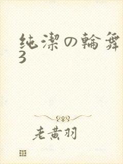 纯洁の轮舞曲 3