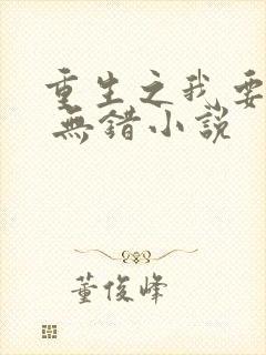 重生之我要冲浪 无错小说