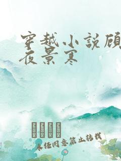 穿越小说顾初暖夜景寒