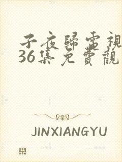 子夜归电视剧第36集免费观看