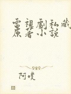 电视剧私藏浪漫原著小说