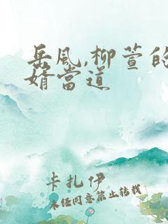 岳风,柳萱的赘婿当道