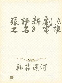 张译新剧《以法之名》电视剧免费观看