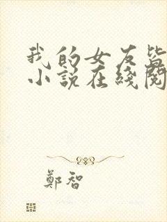 我的女友皆绝绝小说在线阅读