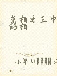 万相之王中李洛的相