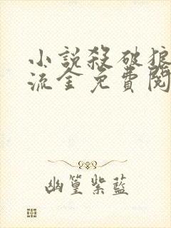 小说杀破狼烽火流金免费阅