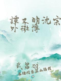 谭又明沈宗年番外微博