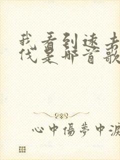 我看到远去的步伐是哪首歌的歌词