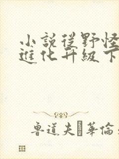 小说从野怪开始进化升级下载