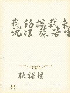 我的总裁未婚妻沈浪 苏若雪