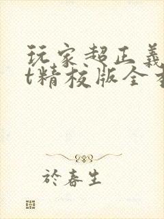 玩家超正义txt精校版全本