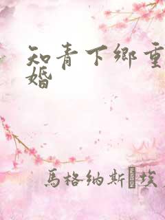 知青下乡重生军婚