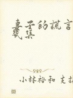 妻子的谎言一共几集