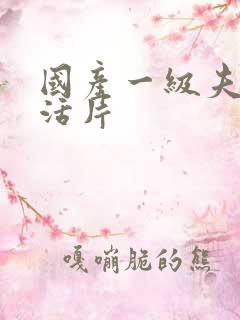 国产一级夫妻生活片