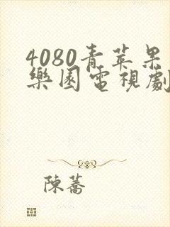 4080青苹果乐园电视剧在线观看免费完