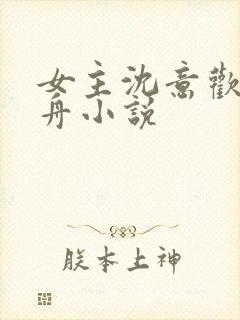 女主沈意欢陆沉舟小说