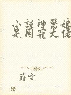 小说神医娘亲她是团宠大佬最新章节