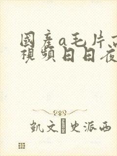 国产a毛片高清视频日日夜