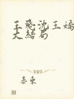 王飞沈玉娇小说大结局