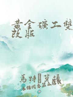 黄金矿工双人修改版