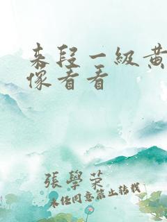 来段一级黄色录像看看