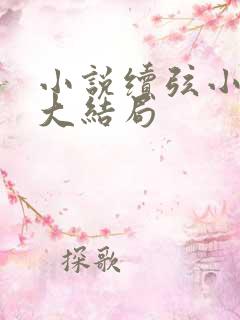 小说续弦小夫人大结局