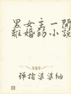 男女主一开始就离婚的小说