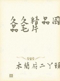 久久精品国产精品毛片