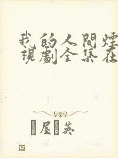 我的人间烟火电视剧全集在线观看