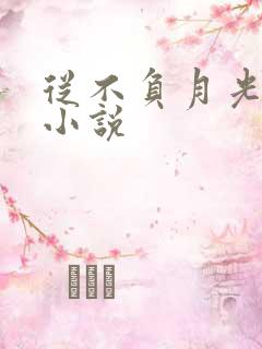 从不负月光短剧小说